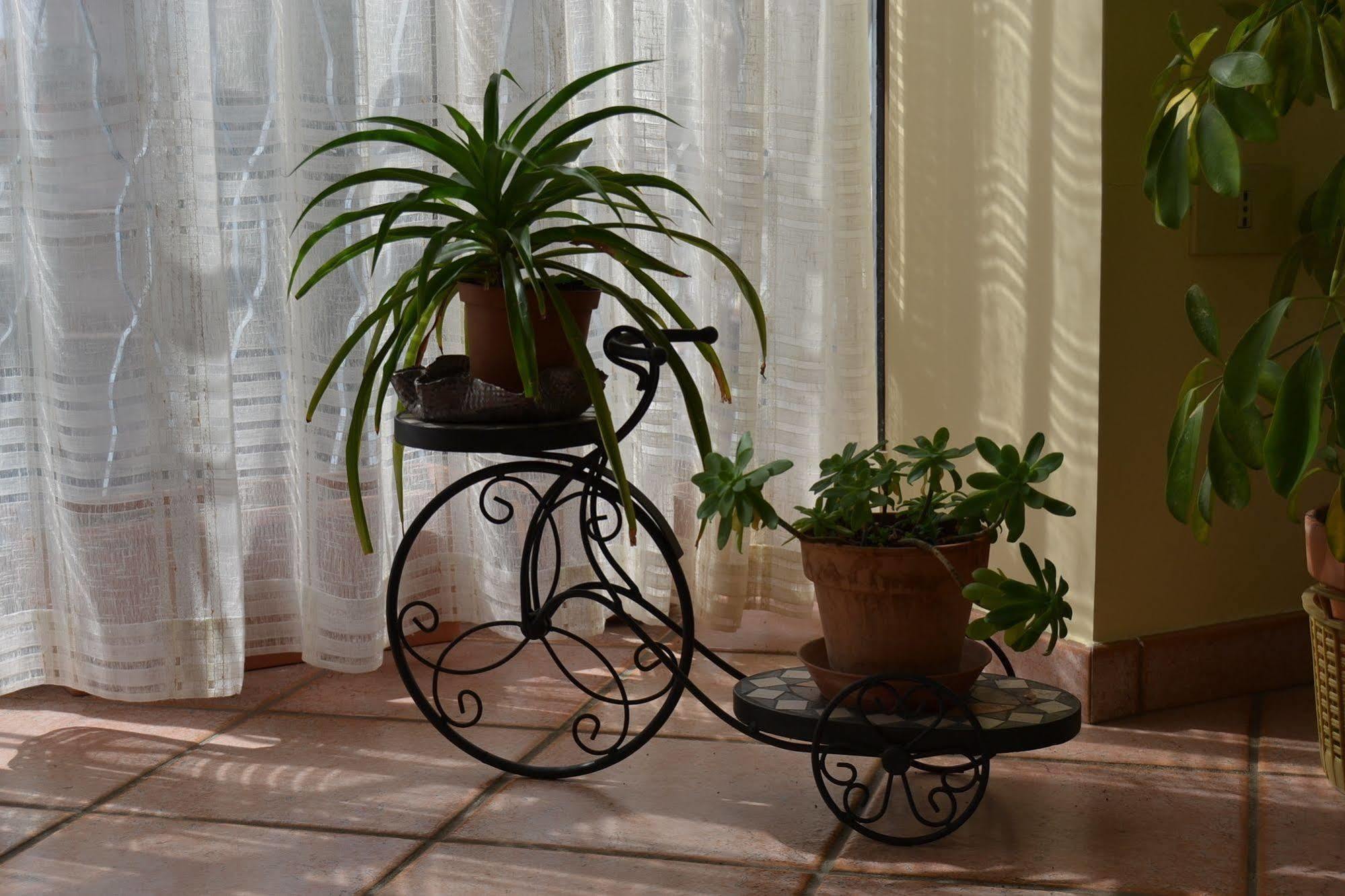 Bed & Breakfast Marena Sant'Agata Li Battiati Esterno foto
